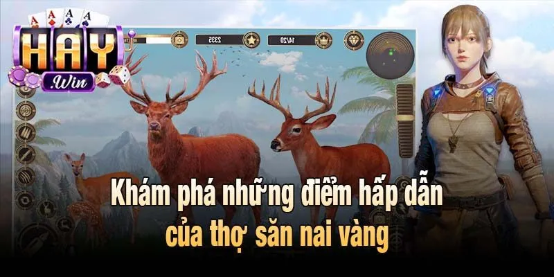 Khám phá những điểm hấp dẫn của thợ săn nai vàng 